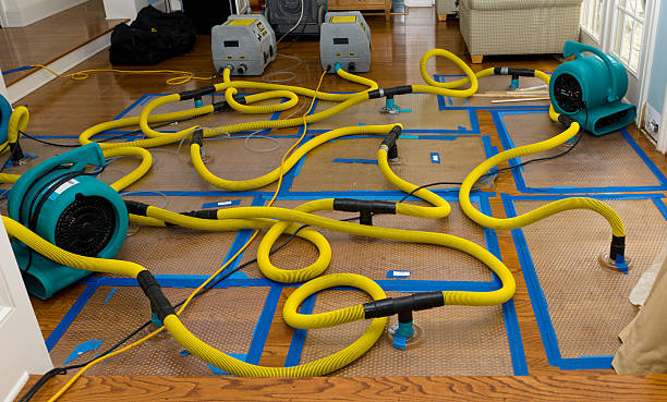 Professional Crawl Space Water Removal technician working in Marblehead, MA